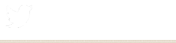 公式twitter